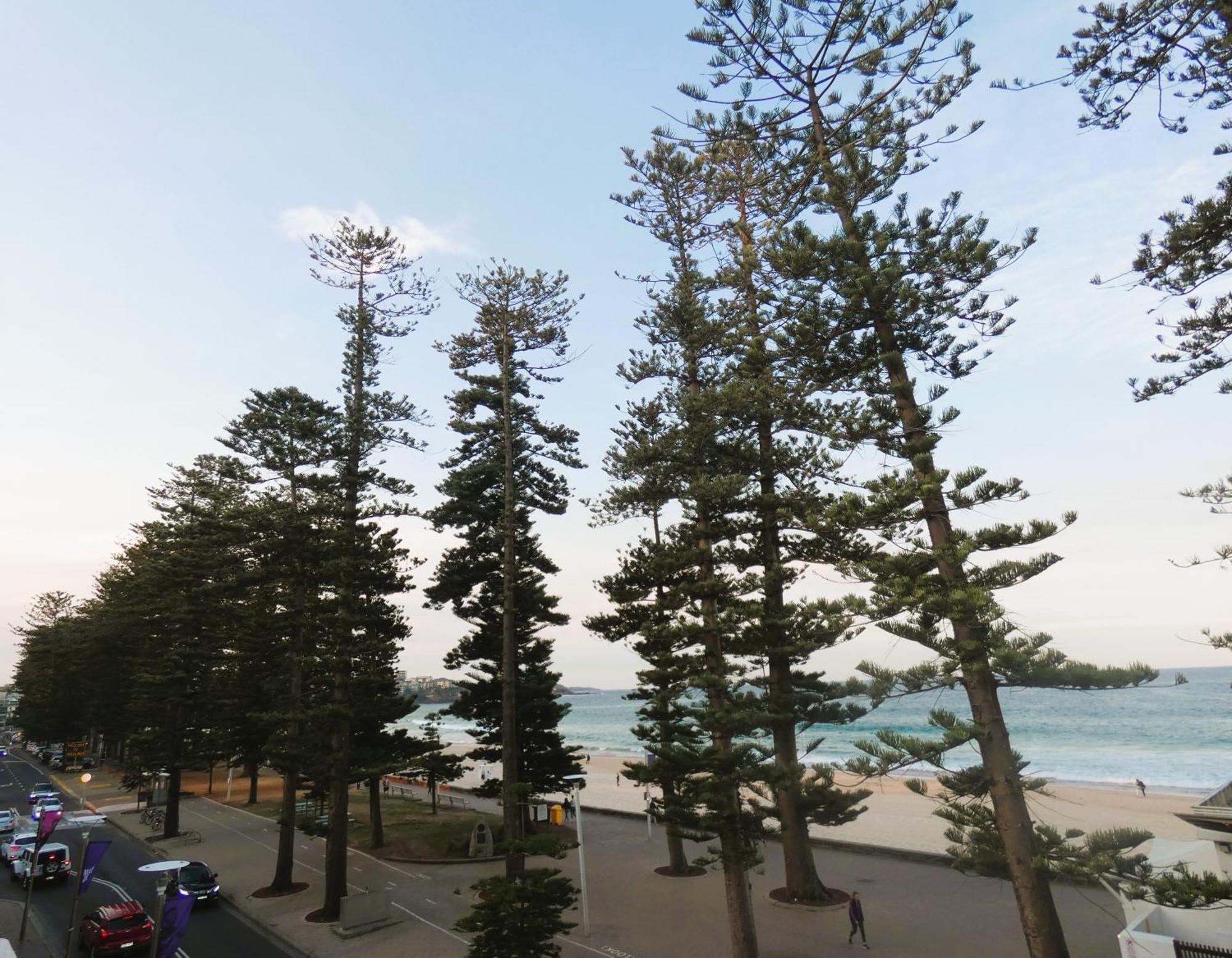 Stay At Hotel Steyne Sydney Exterior foto